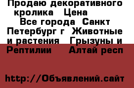 Продаю декоративного кролика › Цена ­ 500 - Все города, Санкт-Петербург г. Животные и растения » Грызуны и Рептилии   . Алтай респ.